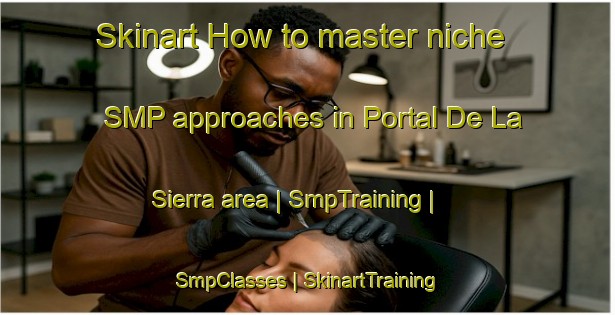 Skinart How to master niche SMP approaches in Portal De La Sierra area | SmpTraining | SmpClasses | SkinartTraining-Mexico